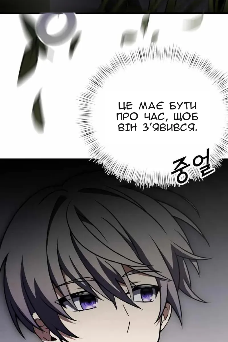 Сторінка 17