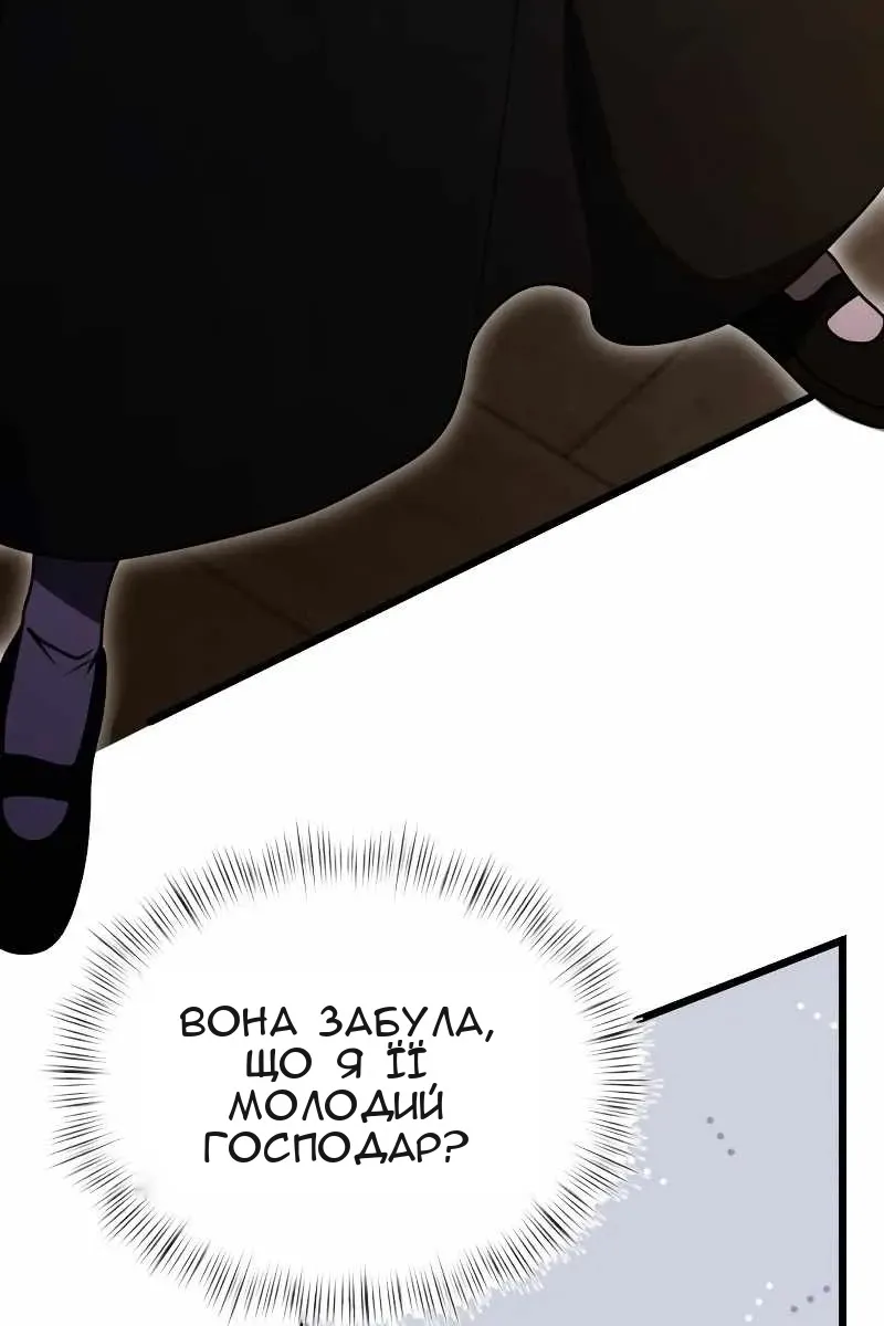 Сторінка 29