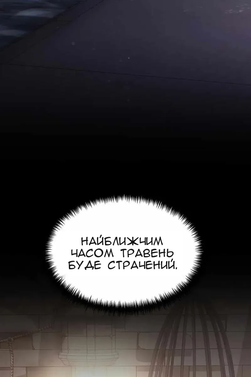 Сторінка 3