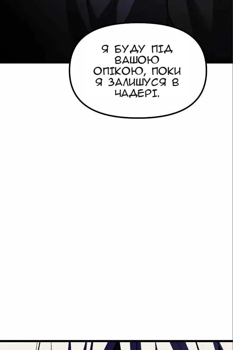 Сторінка 33