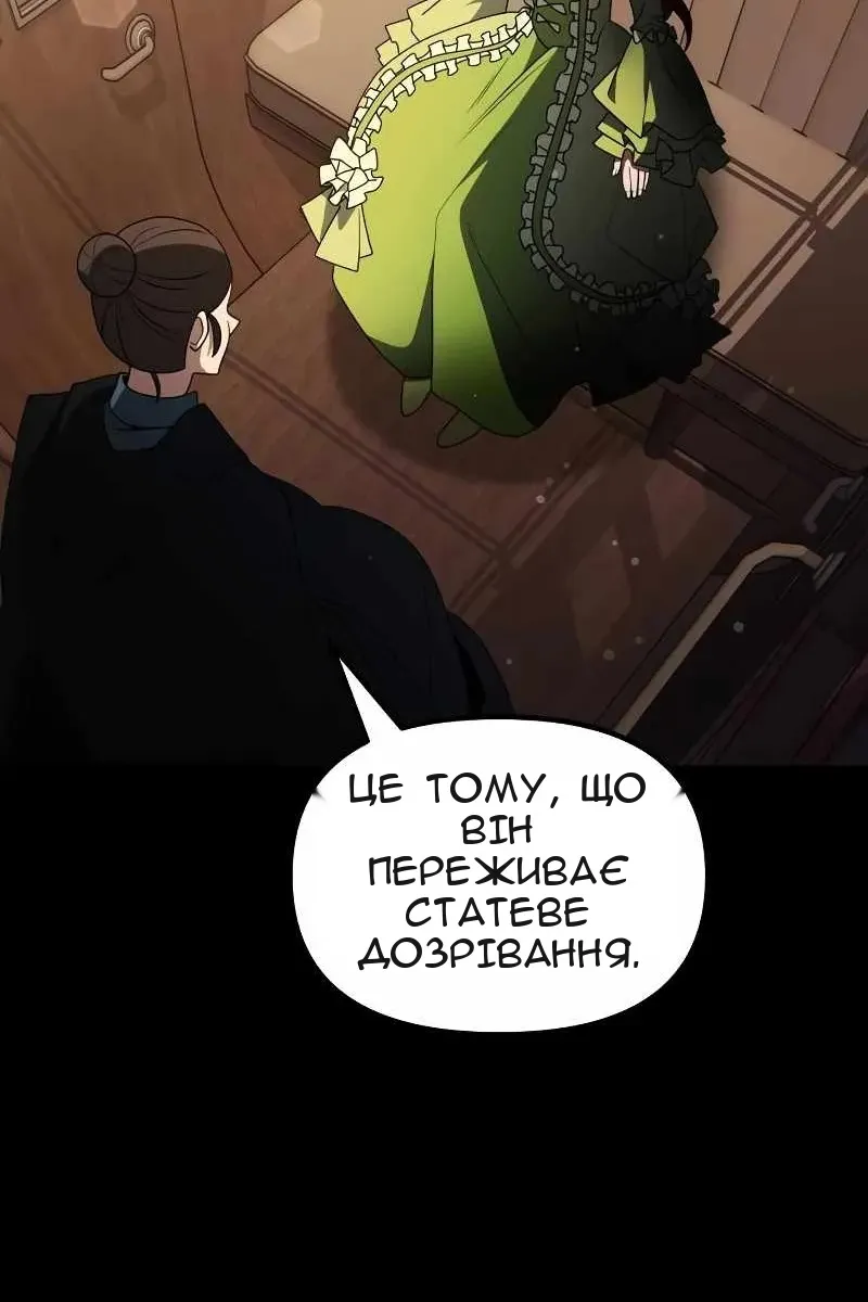 Сторінка 31