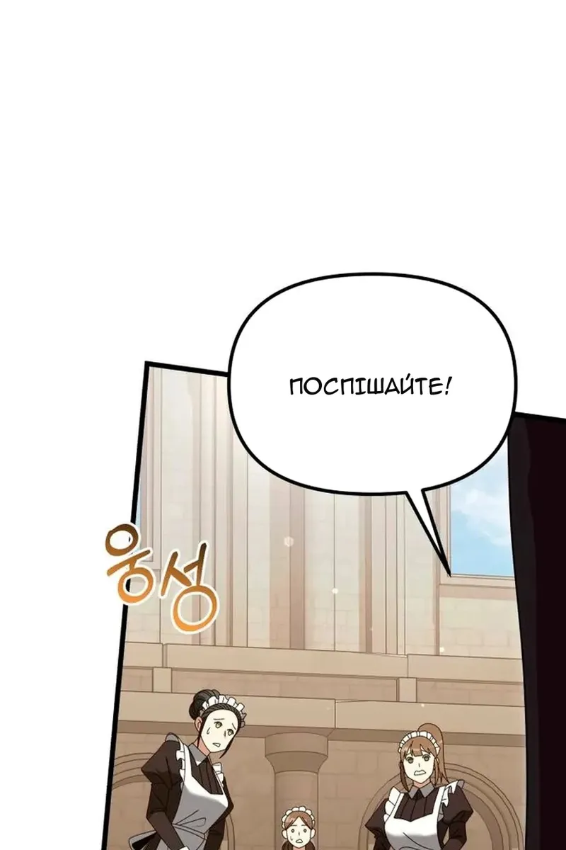 Сторінка 29