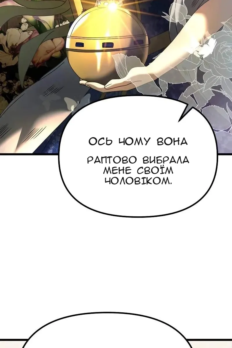 Сторінка 17