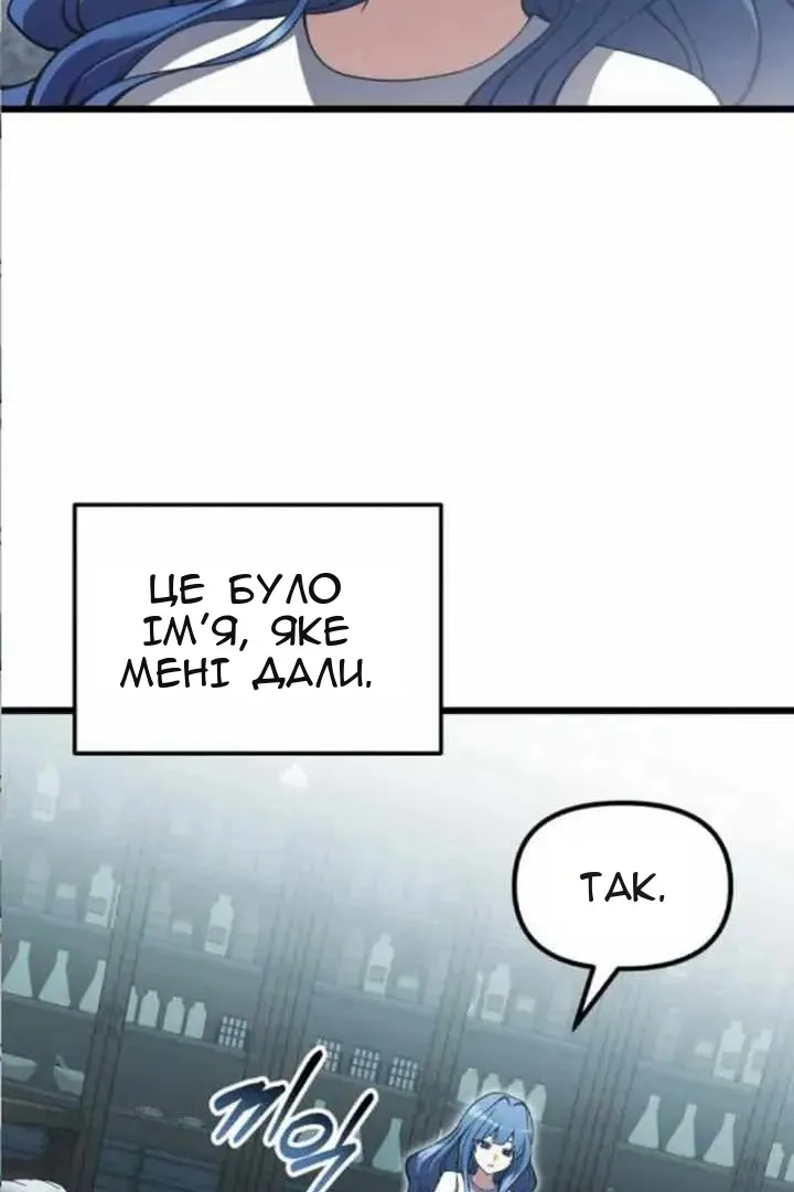 Сторінка 29