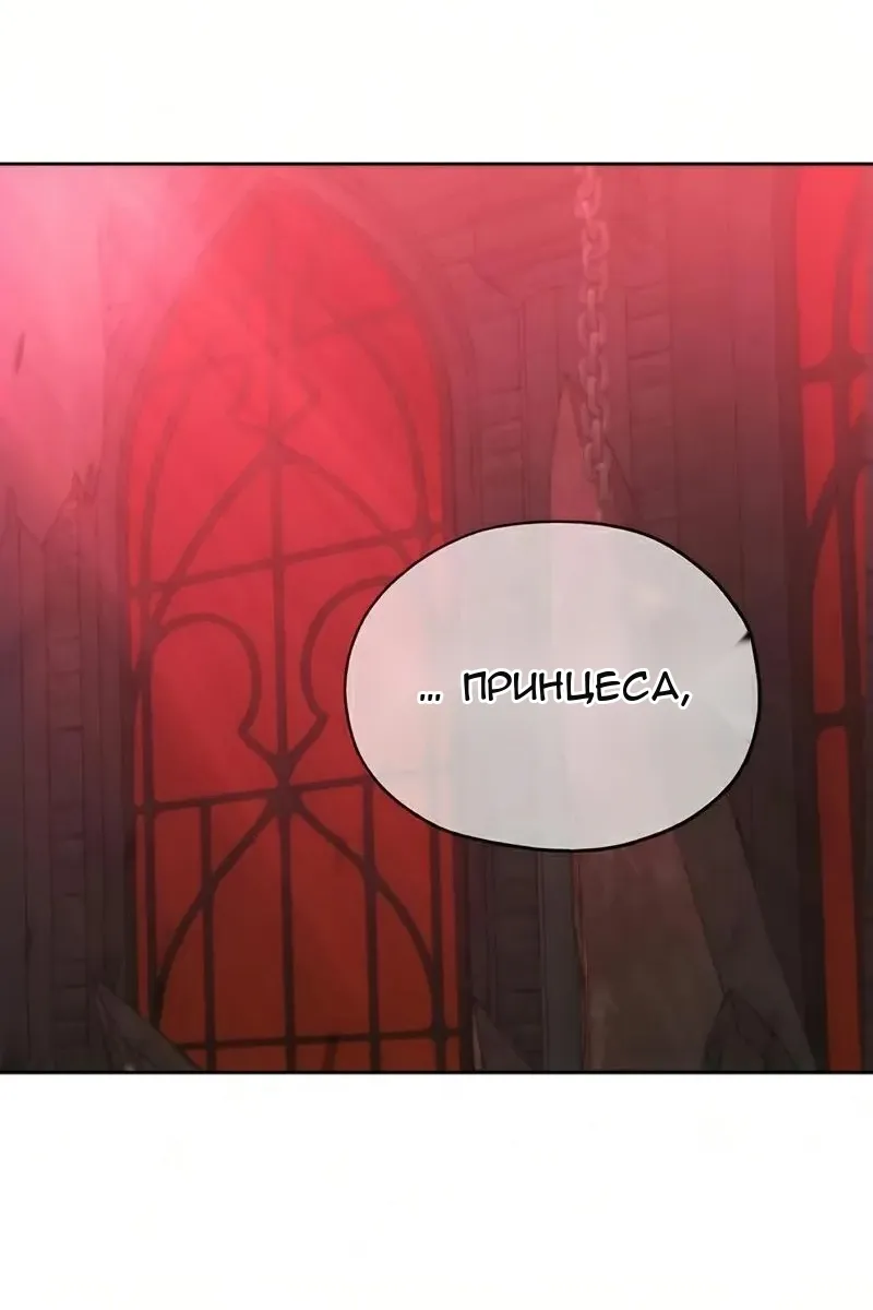 Сторінка 11