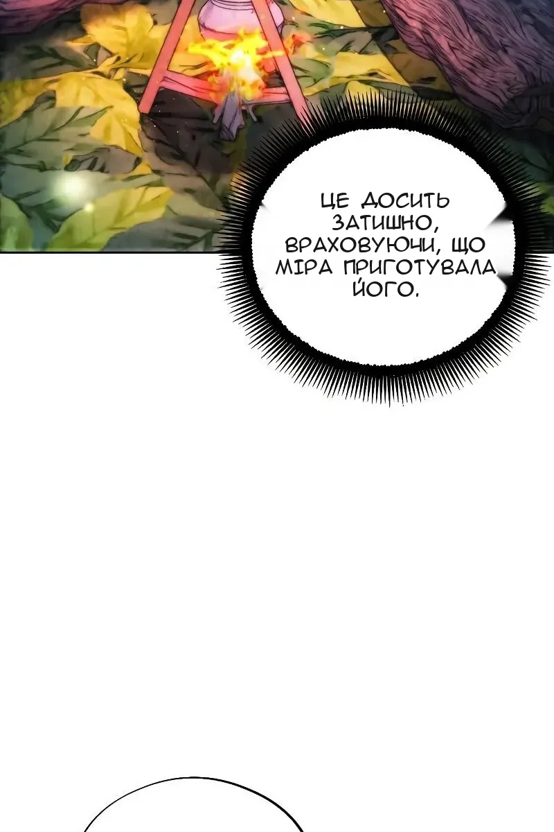Сторінка 29
