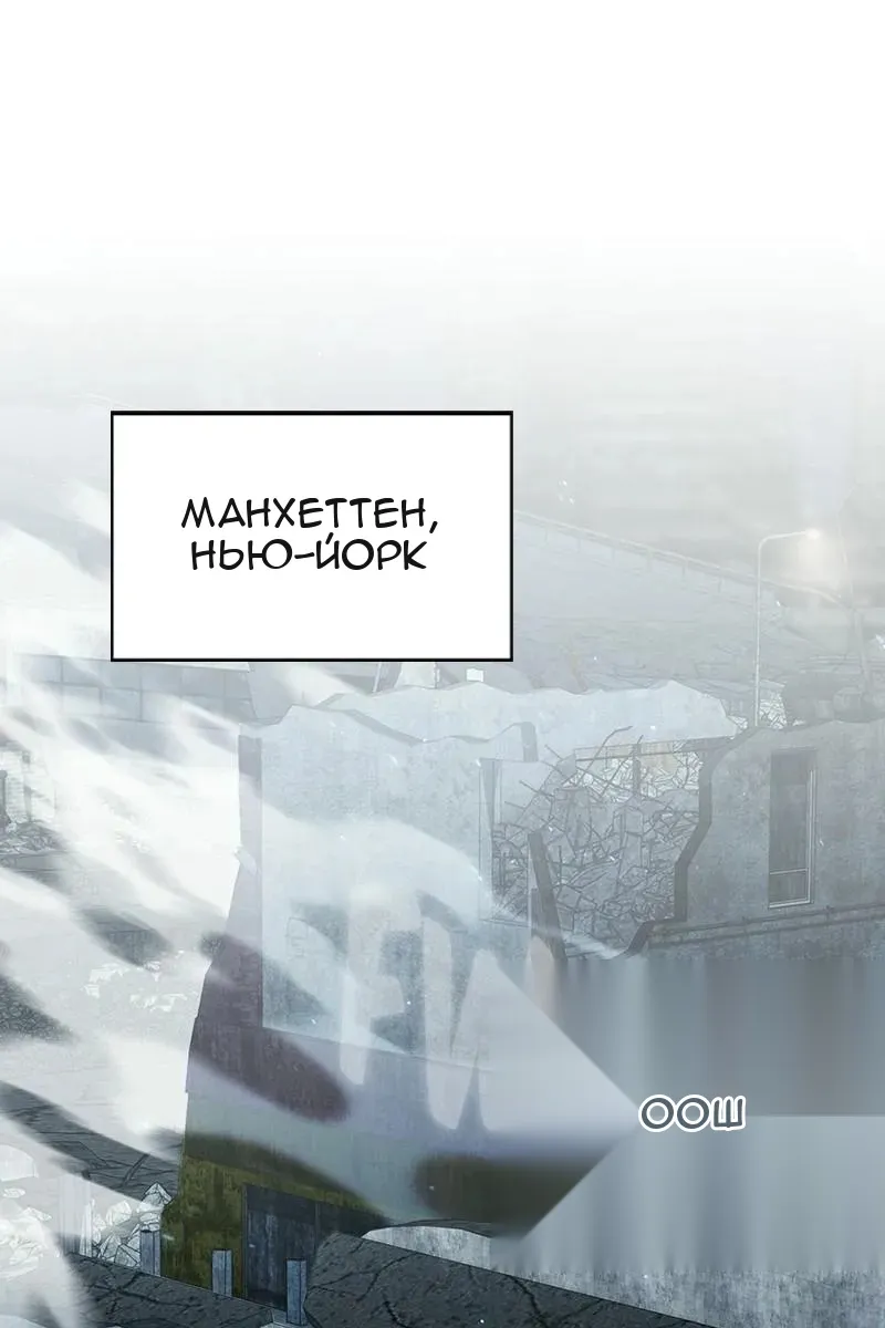 Сторінка 111