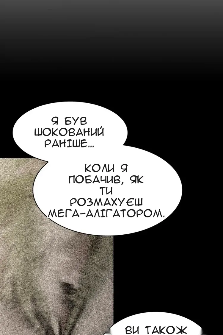 Сторінка 31