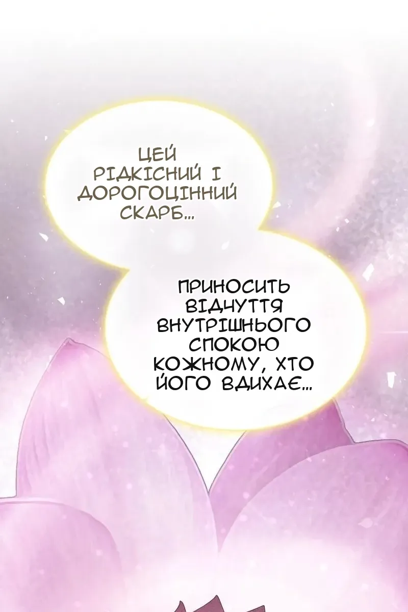 Сторінка 17