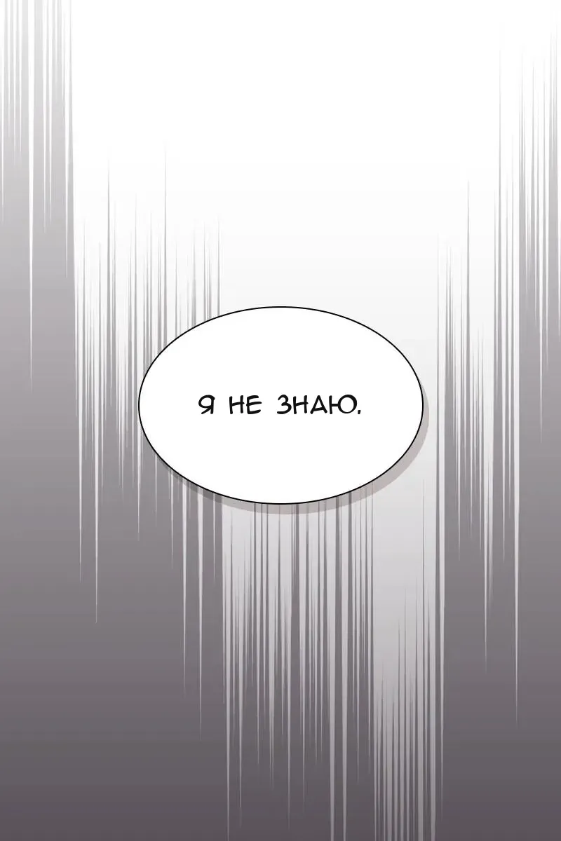 Сторінка 17