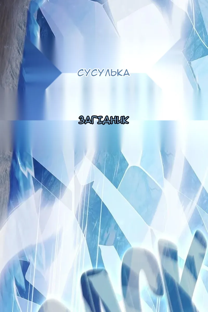 Сторінка 41