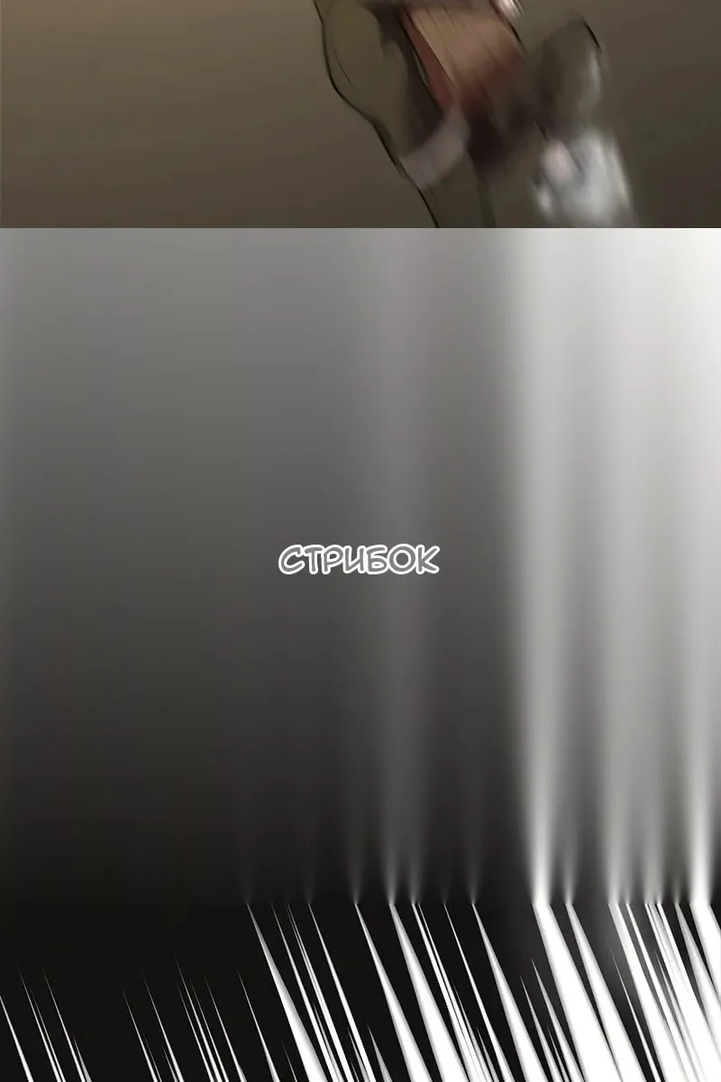 Сторінка 27
