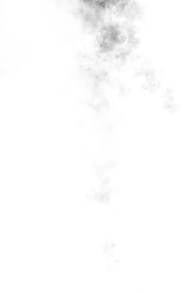 Сторінка 12