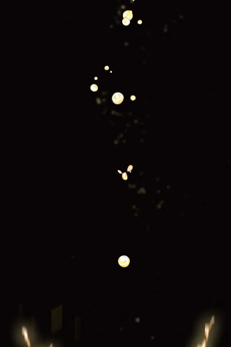 Сторінка 84