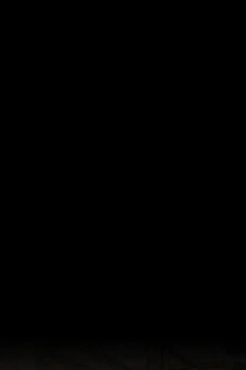 Сторінка 13