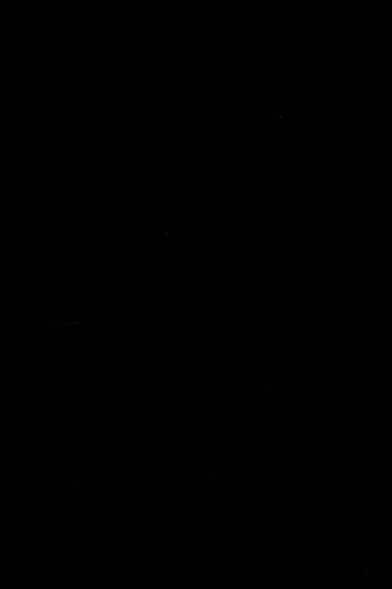 Сторінка 17