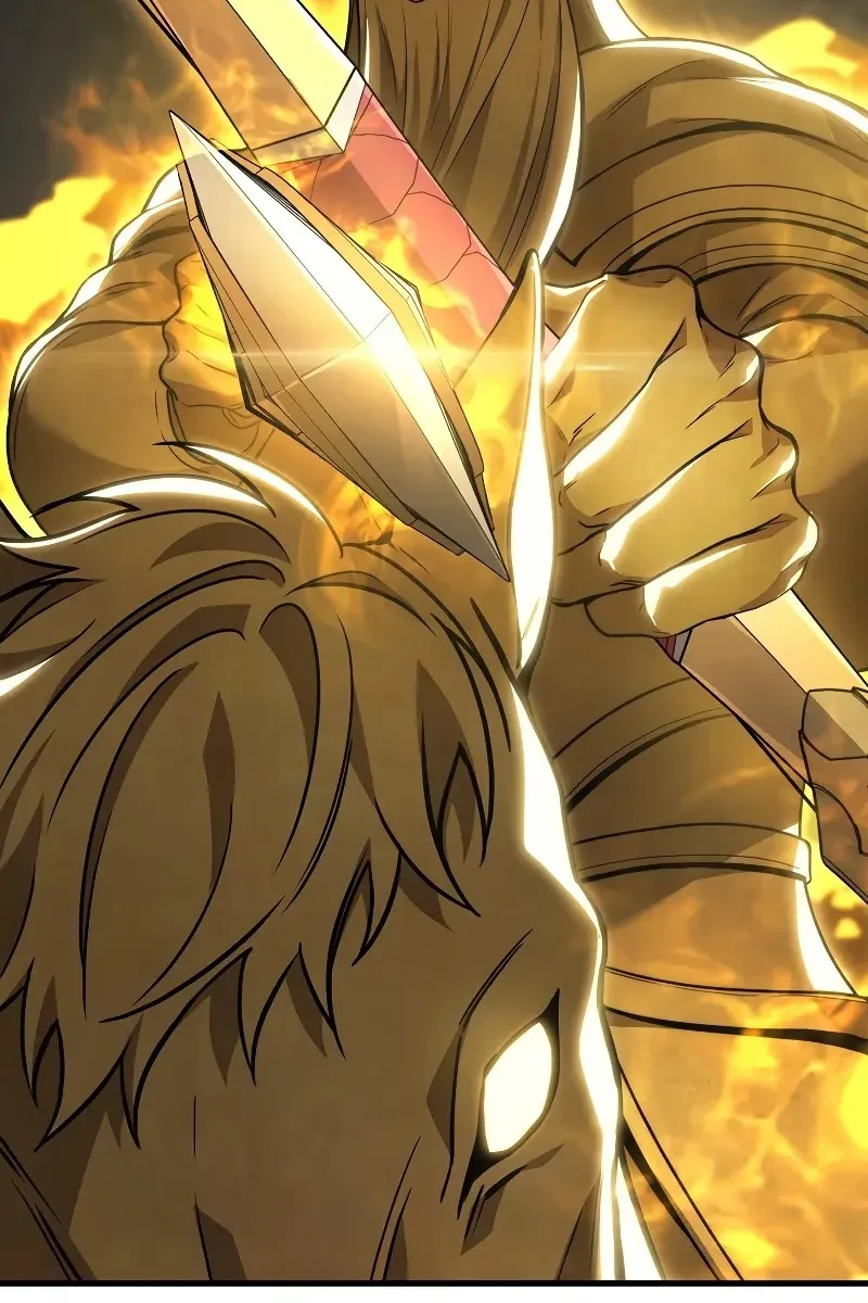 Сторінка 29