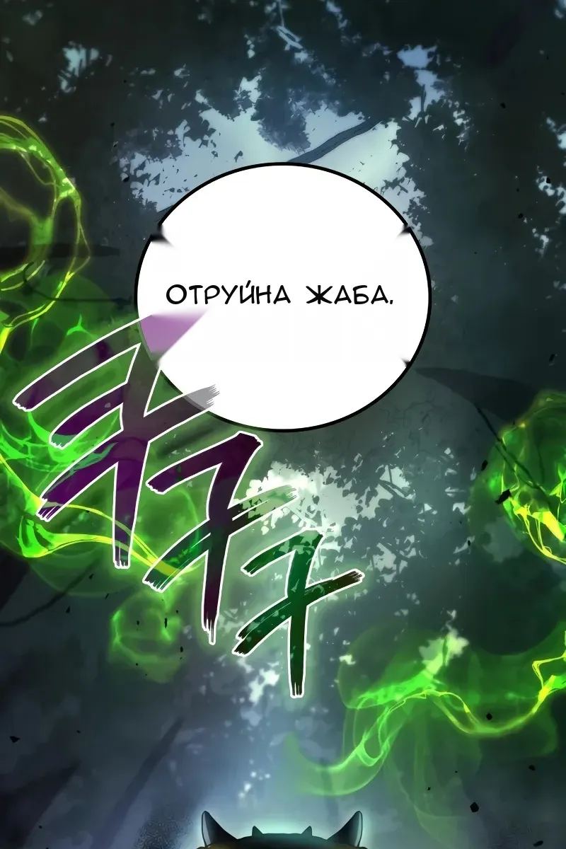 Сторінка 11