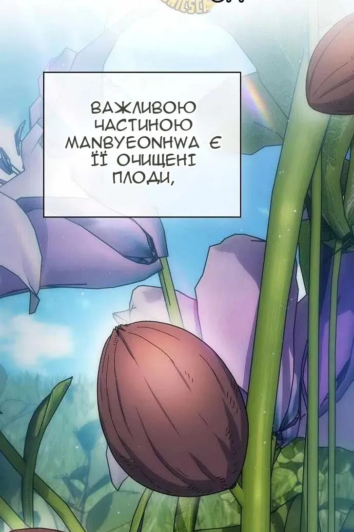 Сторінка 46
