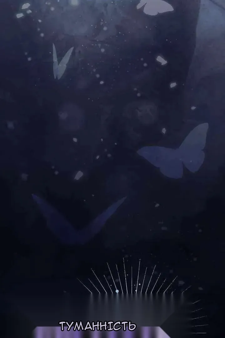Сторінка 29