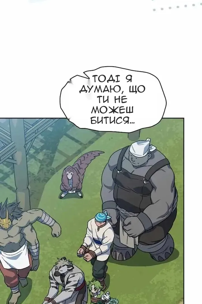 Сторінка 17