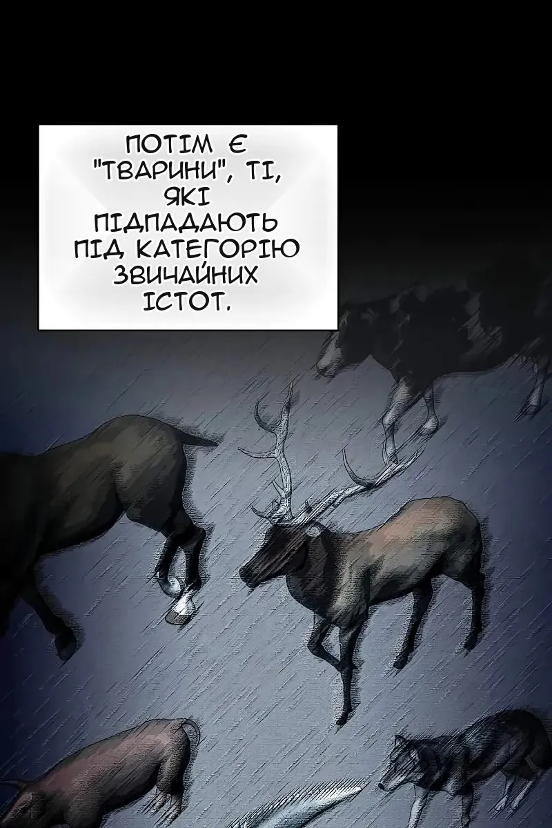 Сторінка 40
