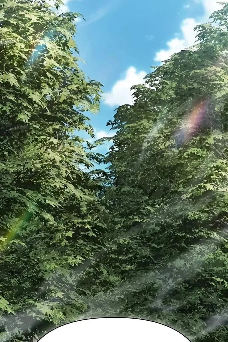Сторінка 3