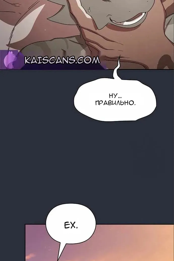 Сторінка 29