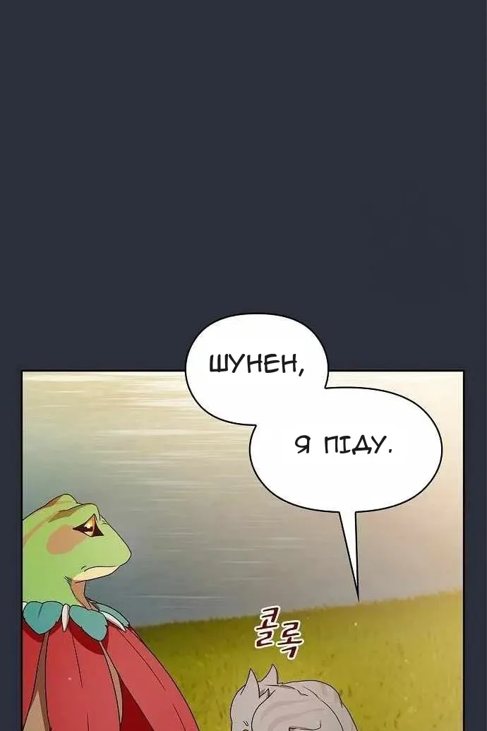 Сторінка 31