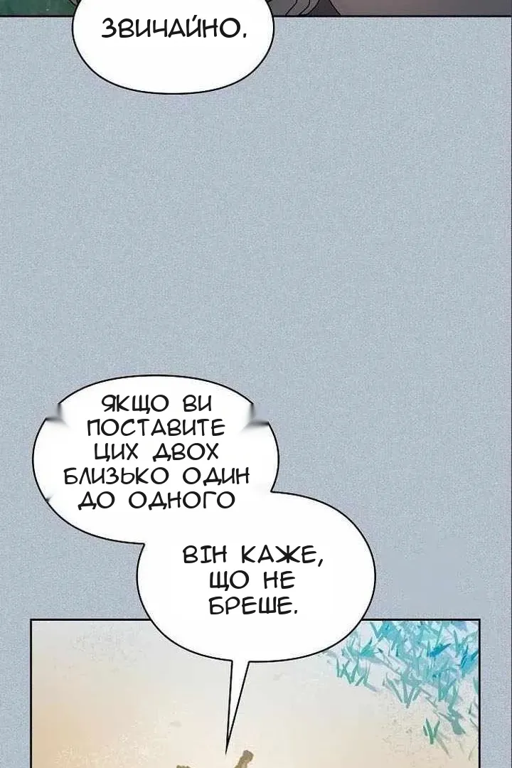 Сторінка 41