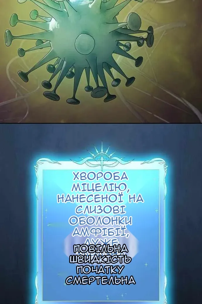Сторінка 27