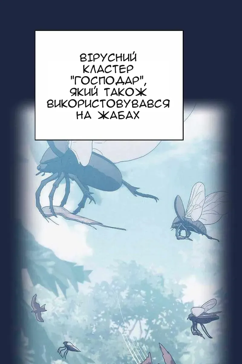 Сторінка 13