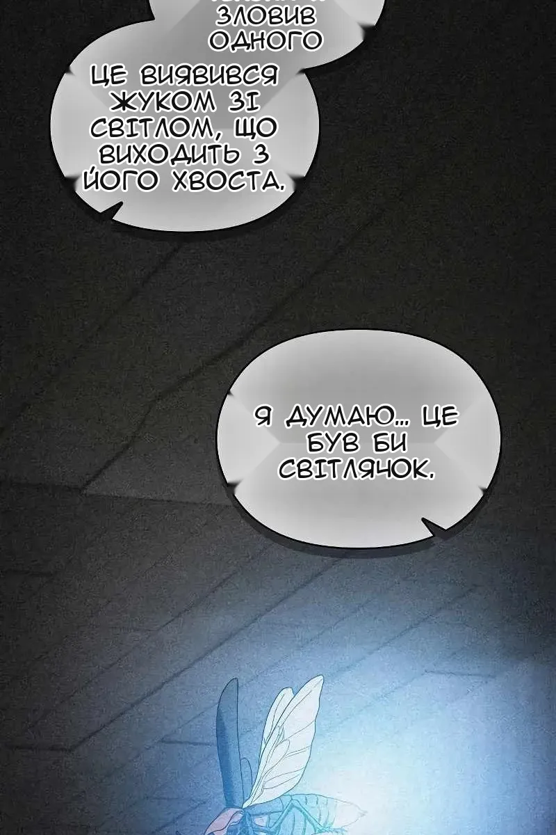 Сторінка 29