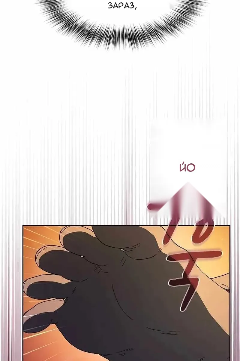 Сторінка 17