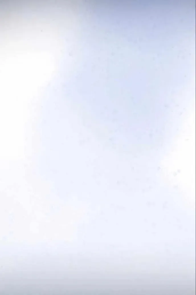 Сторінка 105