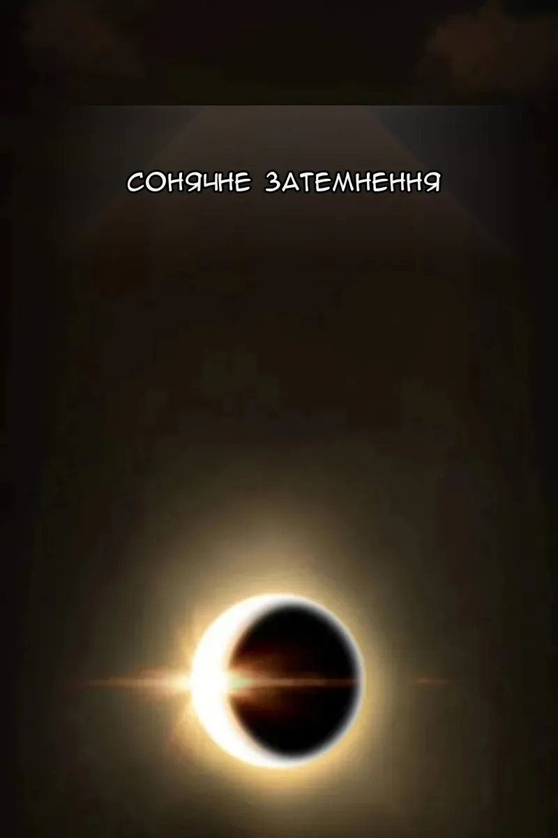 Сторінка 43