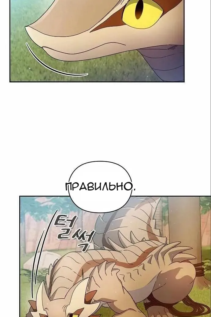 Сторінка 33