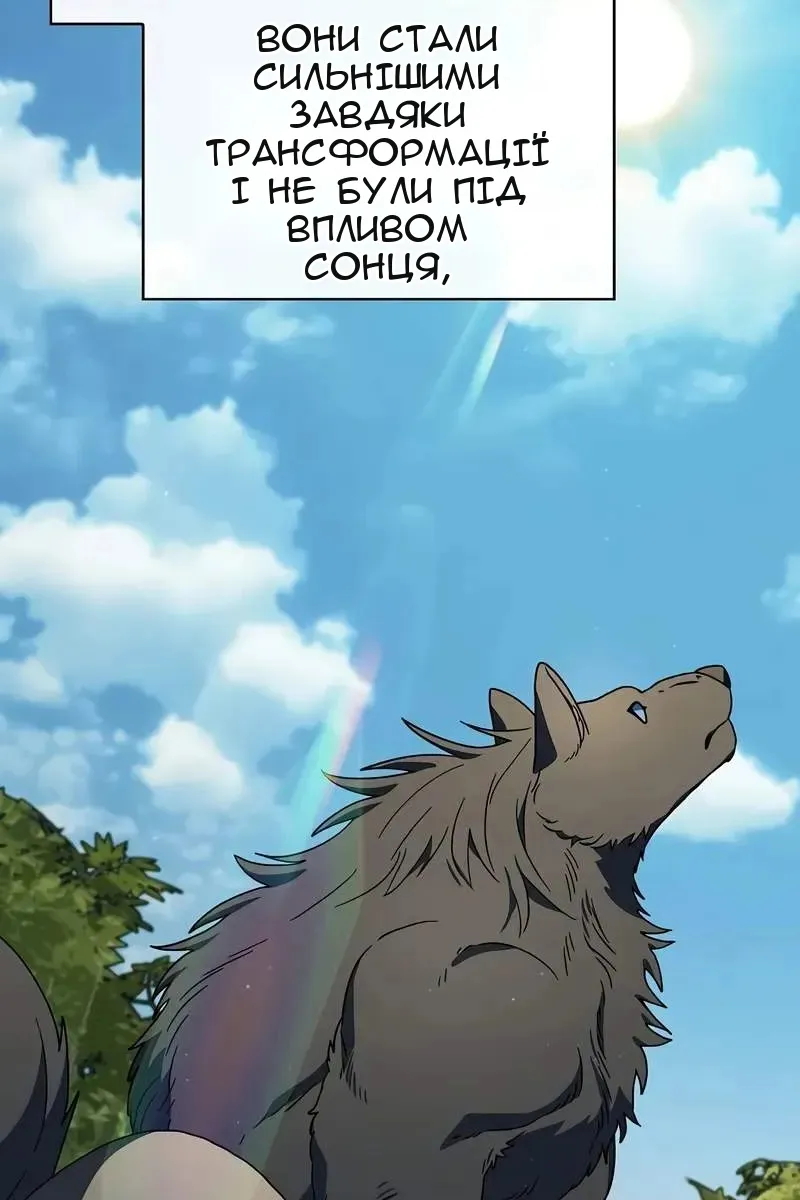 Сторінка 17