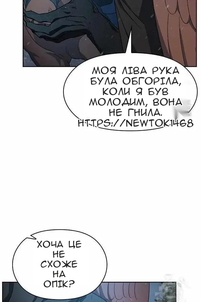 Сторінка 29