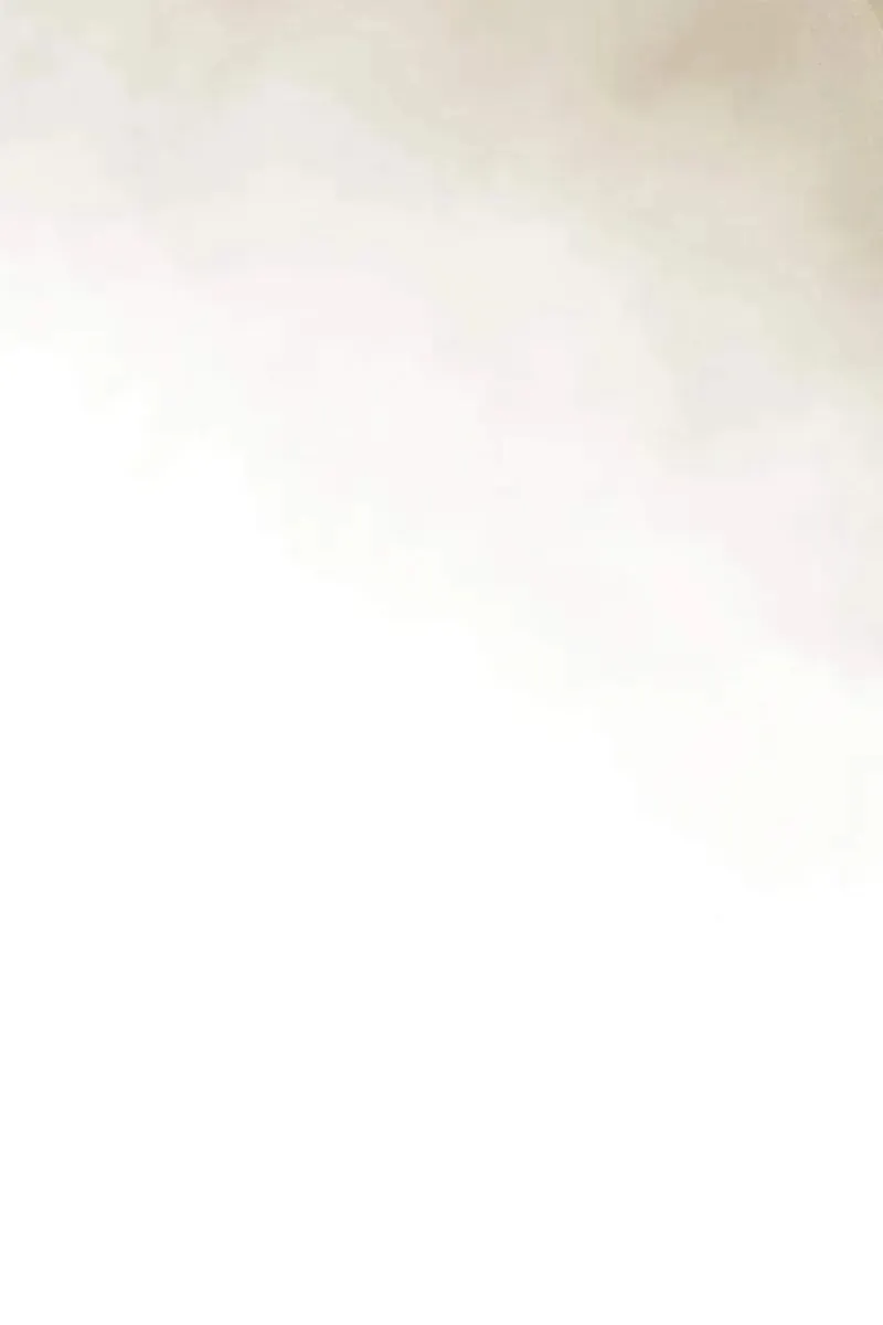 Сторінка 47