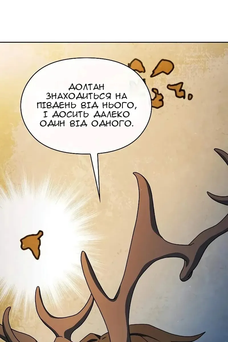 Сторінка 29