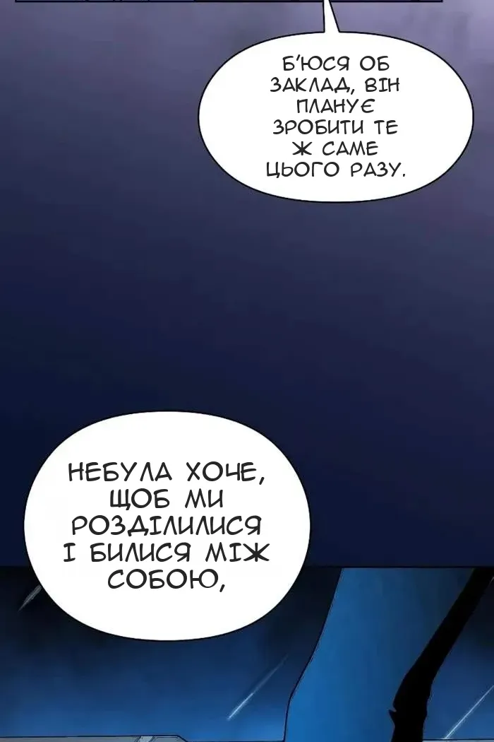 Сторінка 110