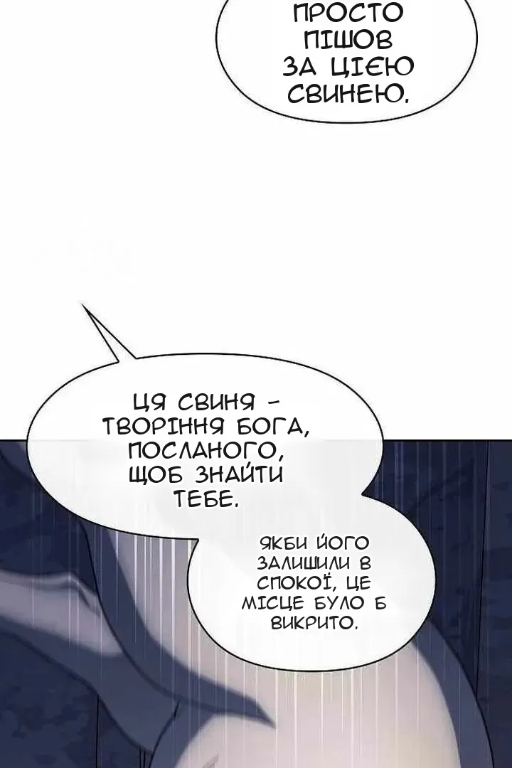 Сторінка 41