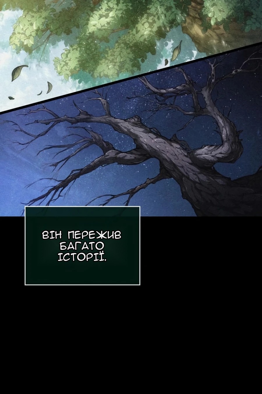 Сторінка 19