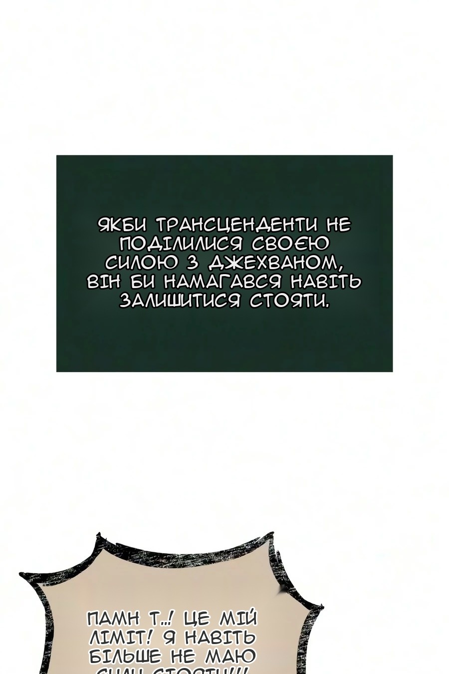 Сторінка 13