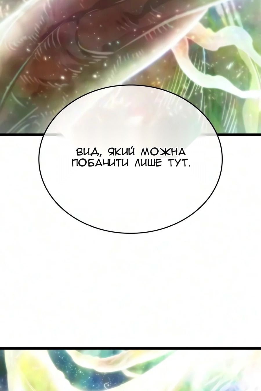 Сторінка 110