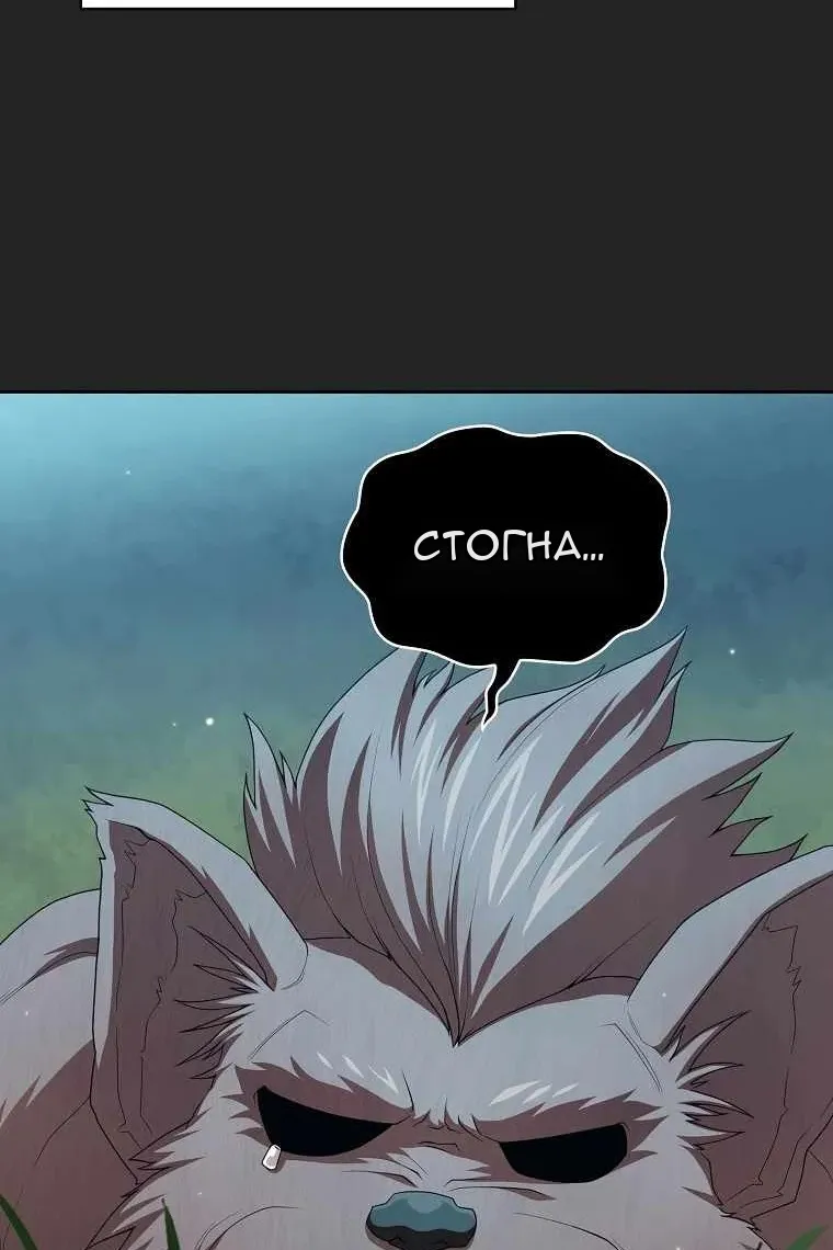 Сторінка 43