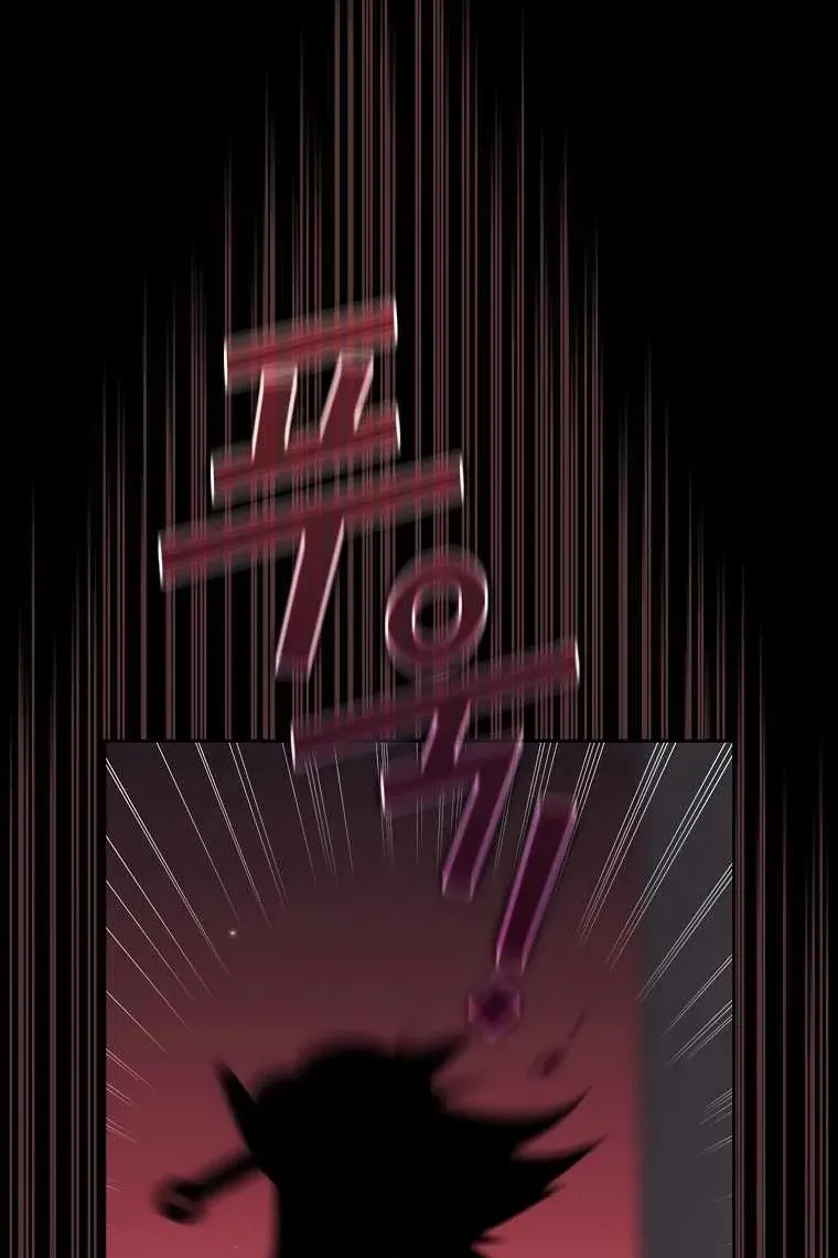 Сторінка 17
