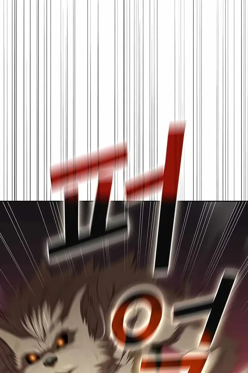 Сторінка 6