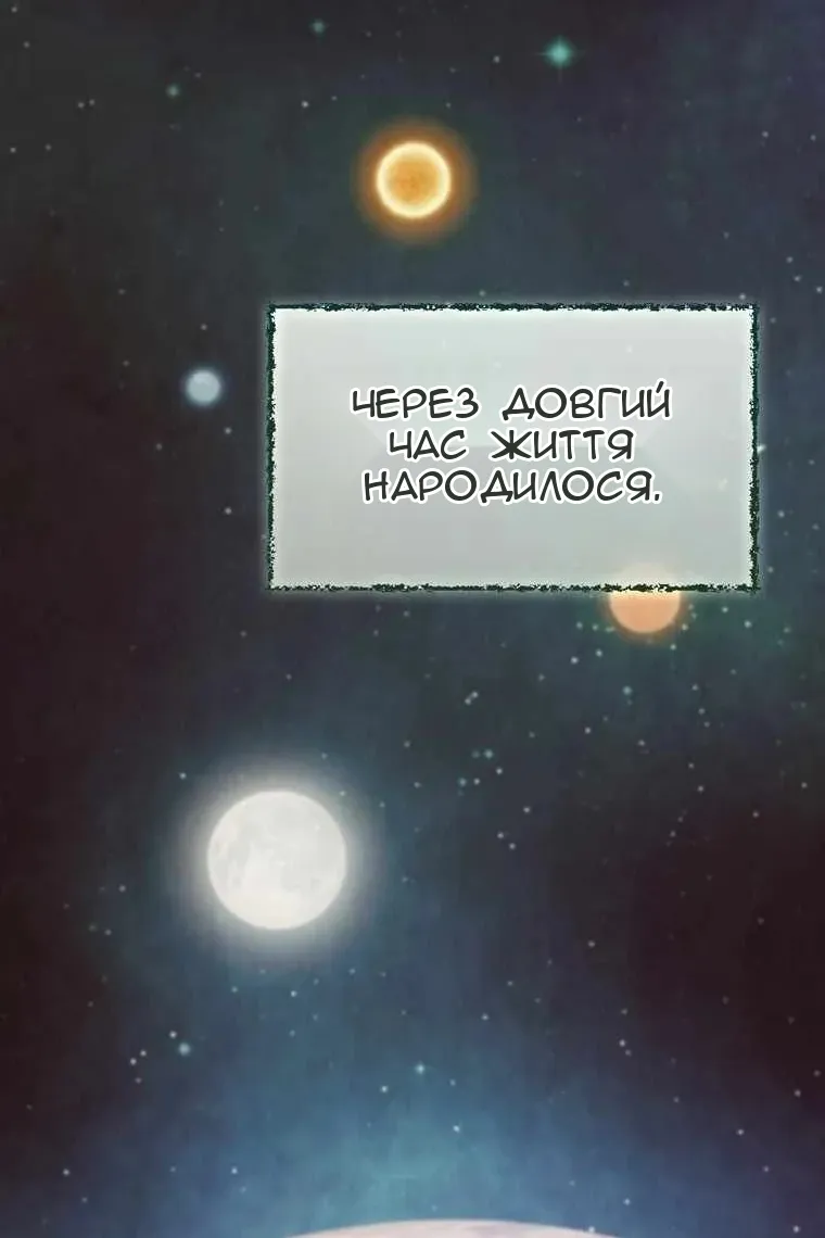 Сторінка 4